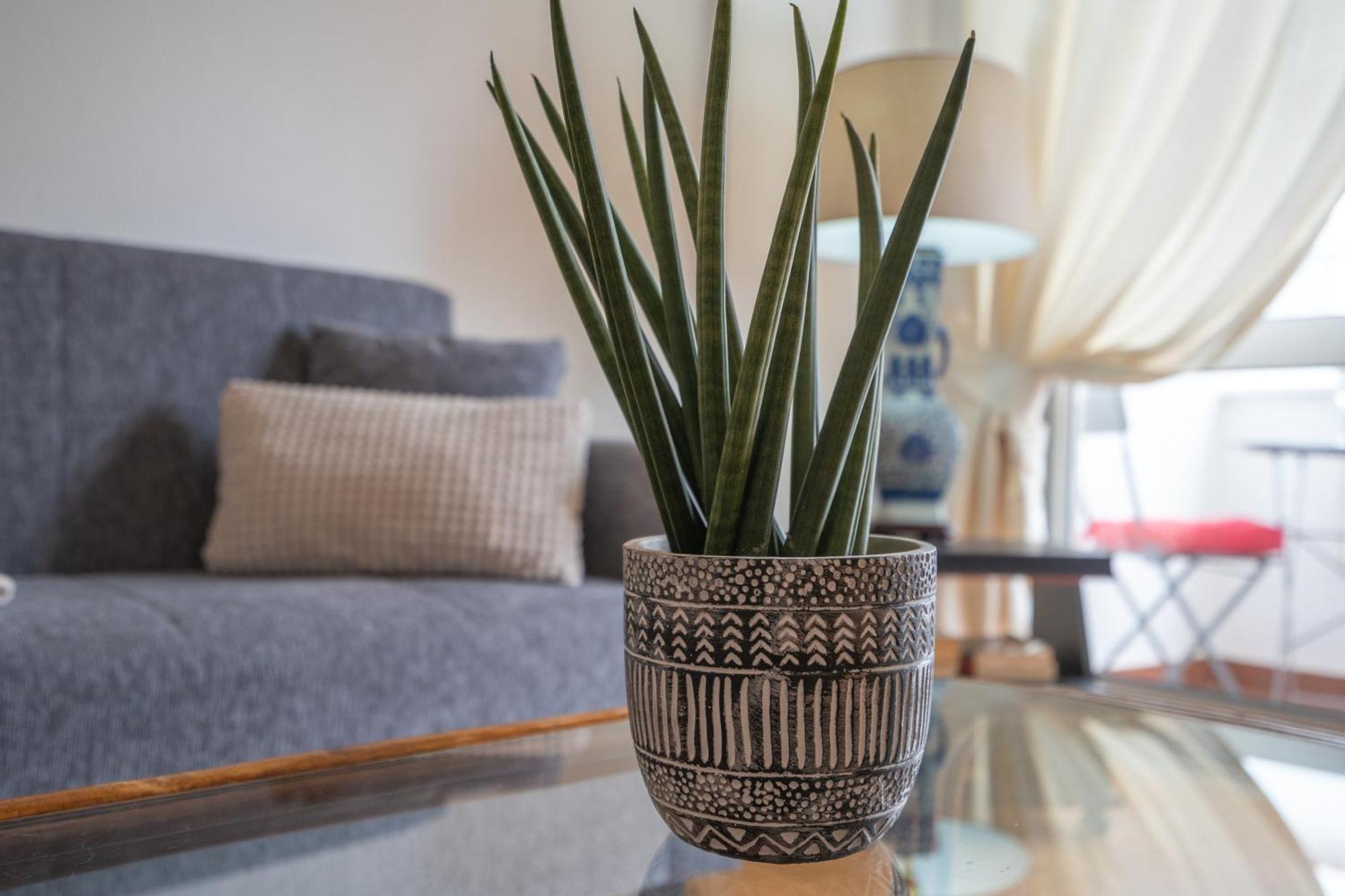 Apartamento Escadinhas Lagos Eksteriør bilde
